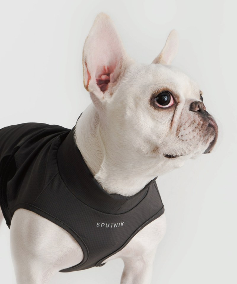 SPN3929-242 寵物涼感衣 Pets Fast Cooling T-Shirt