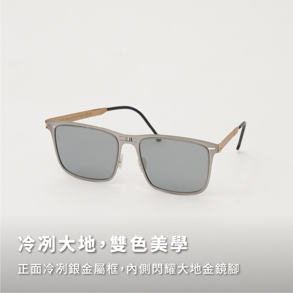 ROAV2215-262 plain-me x ROAV 聯名款墨鏡 ECHO