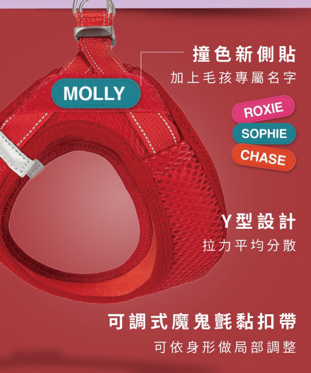 動能透氣胸背帶 ( L / XL )