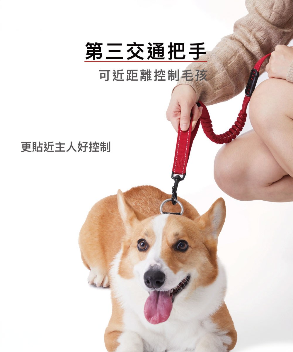 RUNNER COLLECTION 跑步牽繩