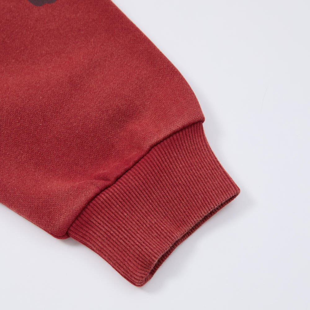 橫濱散步洗水衛衣 限定紀念版