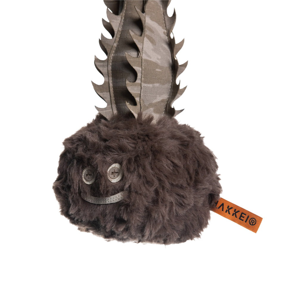 巴氏棒槌樹豆吉