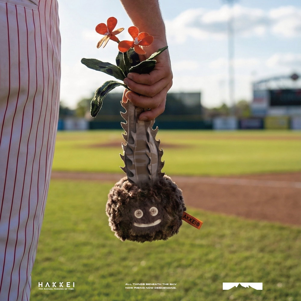 巴氏棒槌樹豆吉