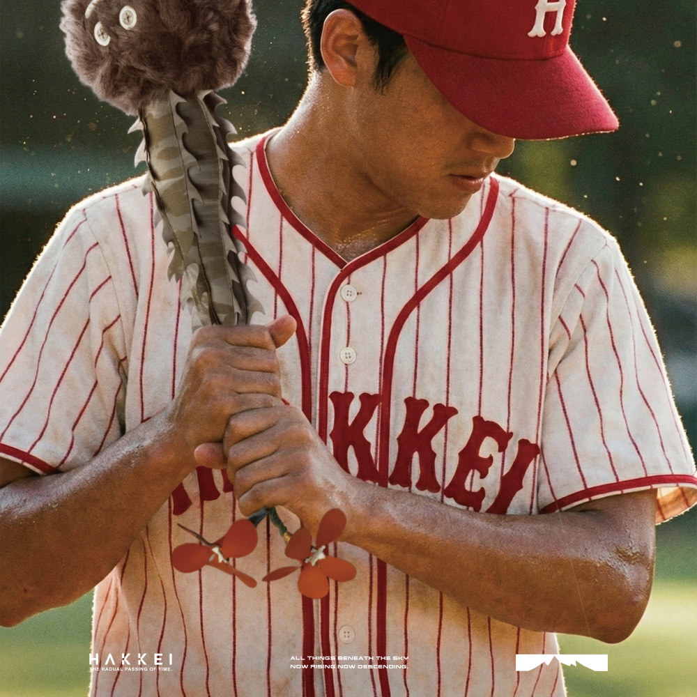 巴氏棒槌樹豆吉