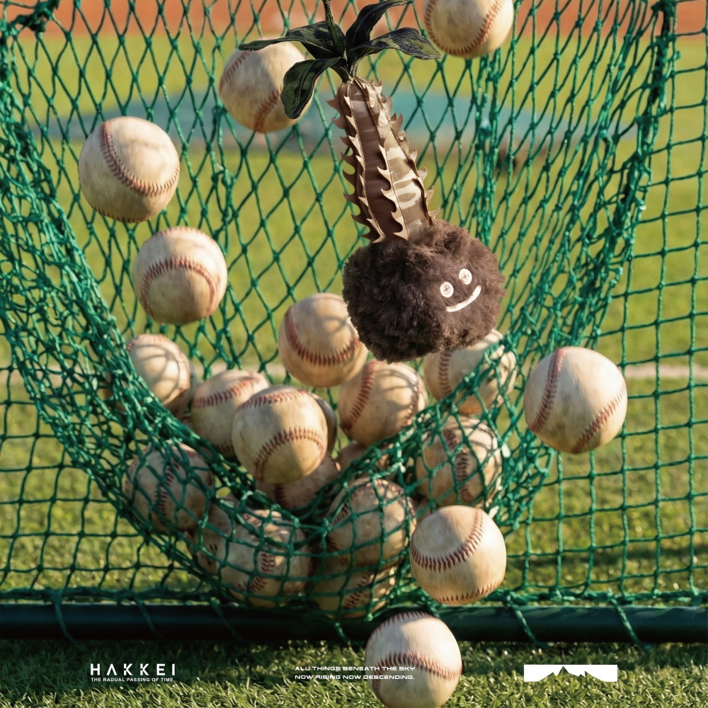 巴氏棒槌樹豆吉