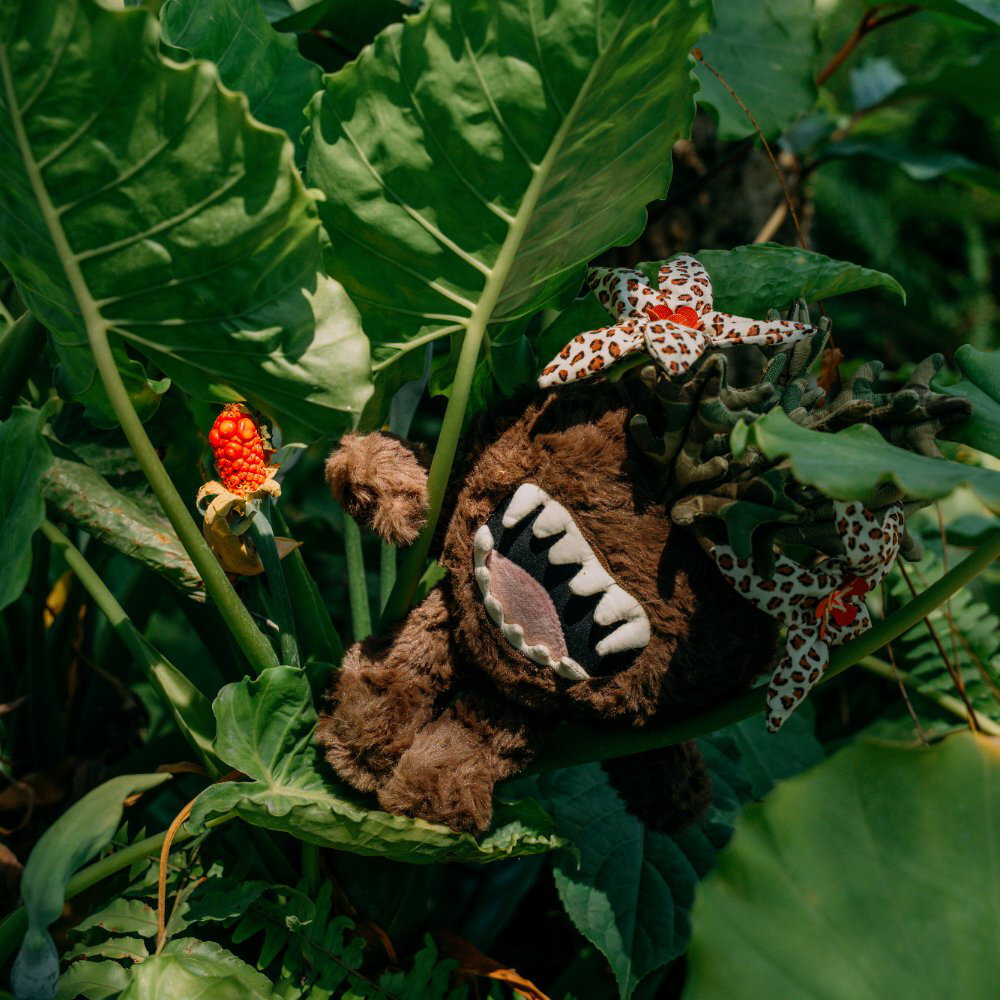 蘿藦劍龍角愛豆