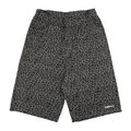 IDE1725-262 抗撕裂彩圖短褲 Ripstop Jorts