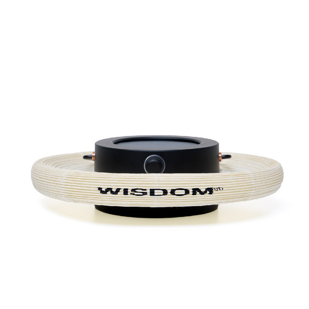 WISDOM x goyemon ANCOH 充電式和紙燈籠 (含支架)