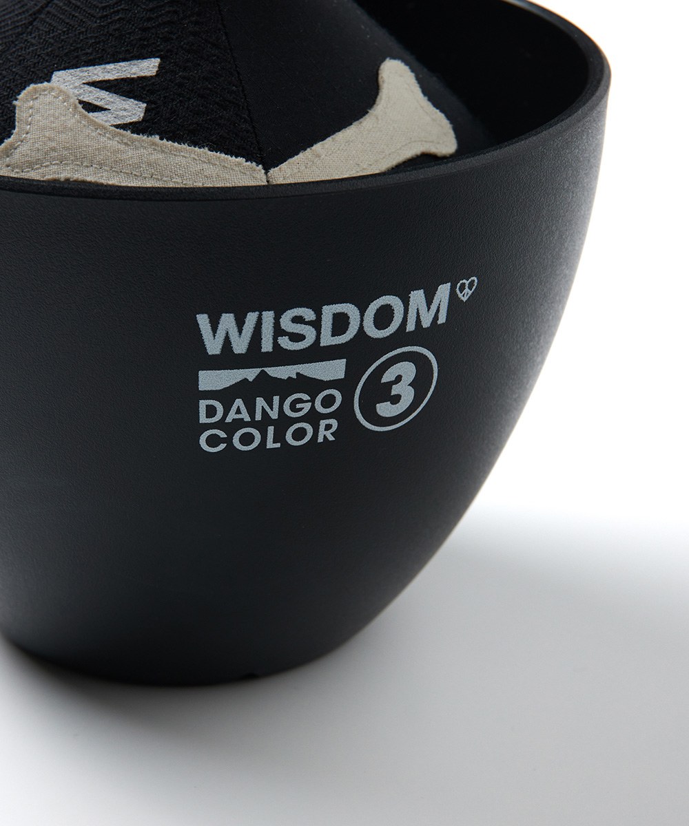 聯名龍骸龜背芋 Wisdom x Hakkei Potted Plant