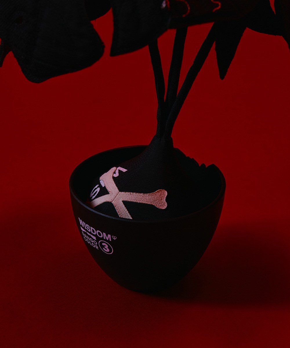 聯名龍骸龜背芋 Wisdom x Hakkei Potted Plant