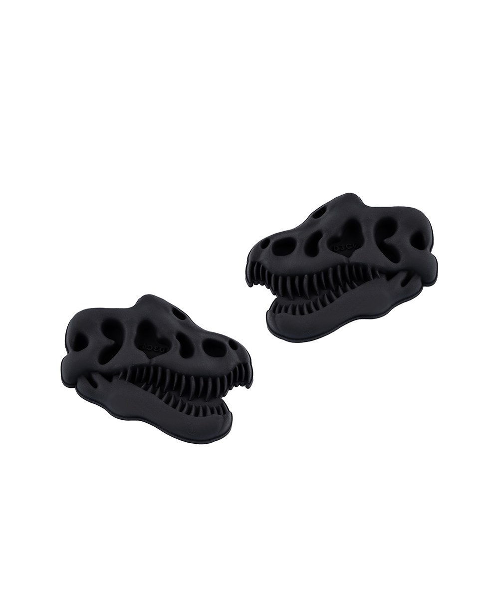 恐龍鞋扣 一組兩入 Bone On Feet Jibbitz