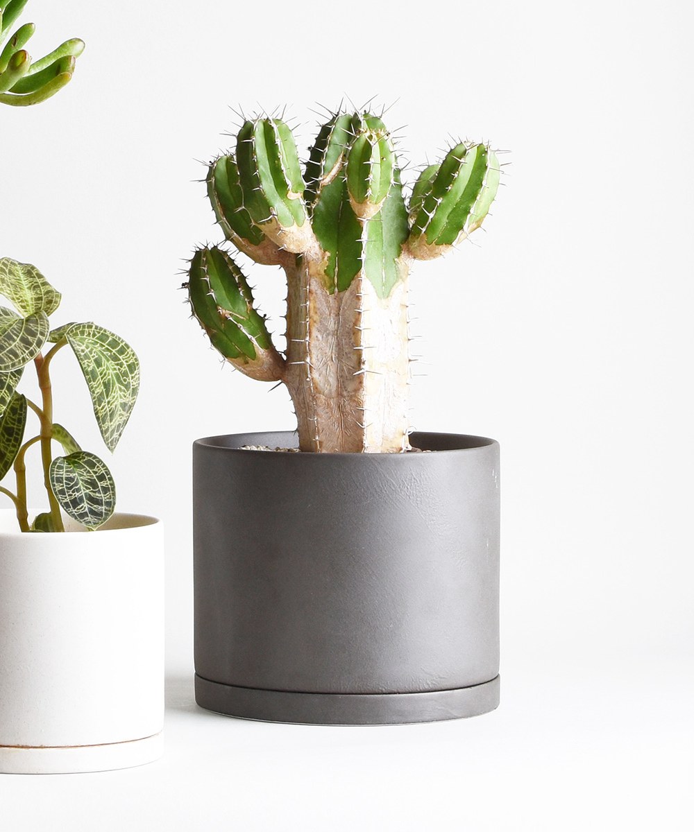 PLANT POT 191 陶瓷花盆 13.5cm
