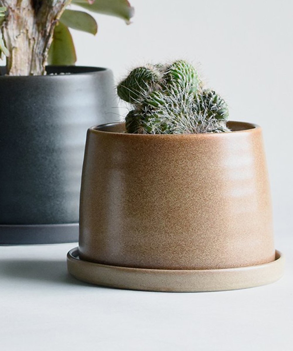 PLANT POT 192 陶瓷花盆 12.5cm