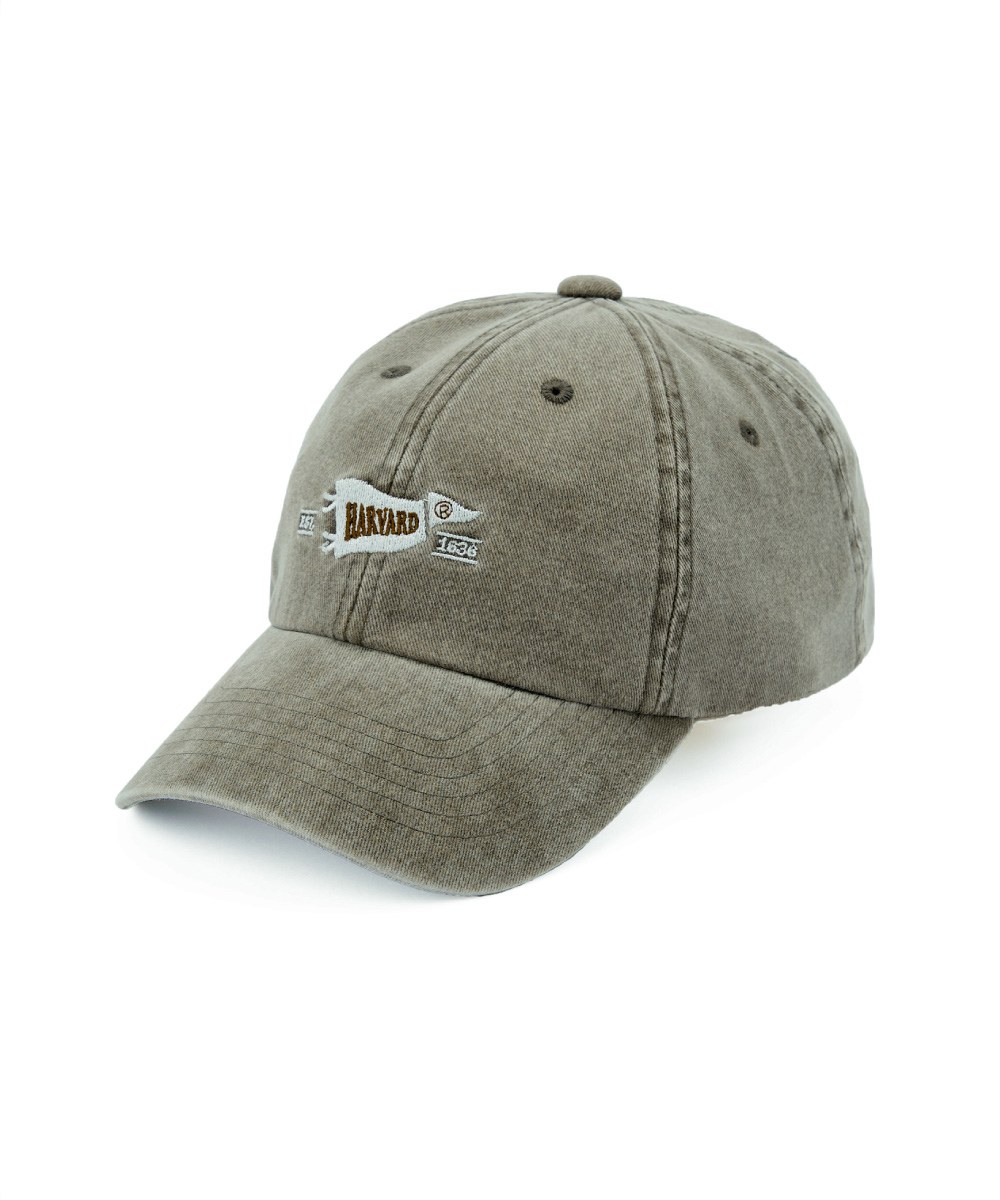 旗幟logo水洗老帽